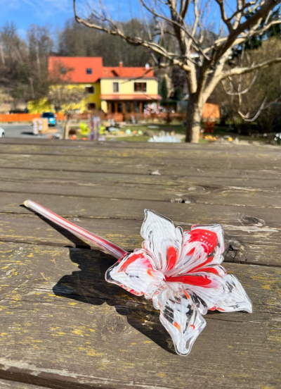 Květina Slavia Edition
